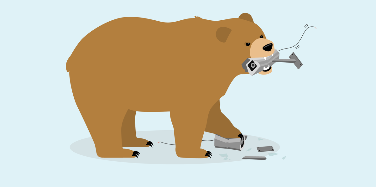 Bear tunnel. TUNNELBEAR Grizzly. TUNNELBEAR VPN logo.